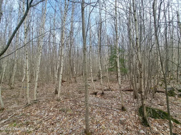 $112,500 | 11.5 Military Turnpike, Ellenburg Depot, NY 12935
