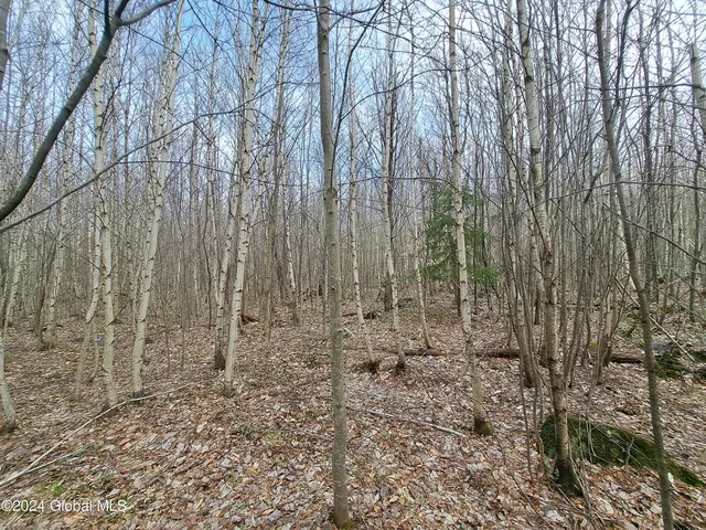 $125,000 | 11.5 Military Turnpike, Ellenburg Depot, NY 12935