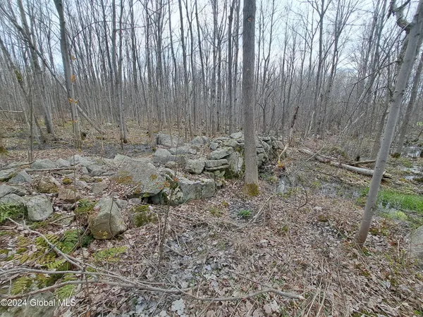 $112,500 | 11.5 Military Turnpike, Ellenburg Depot, NY 12935
