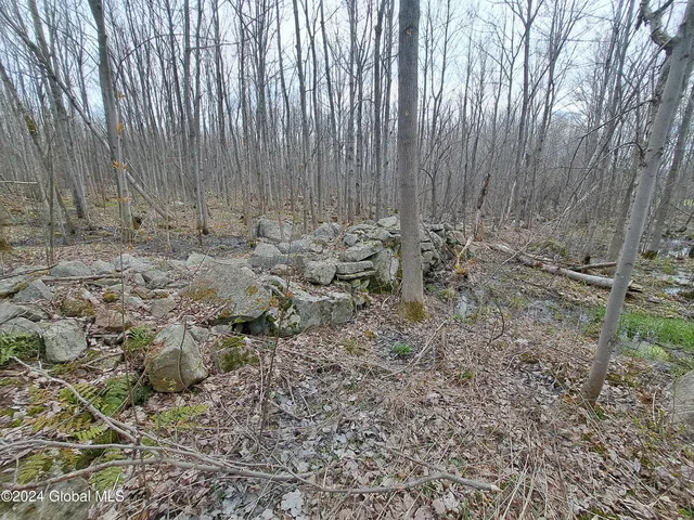 $125,000 | 11.5 Military Turnpike, Ellenburg Depot, NY 12935