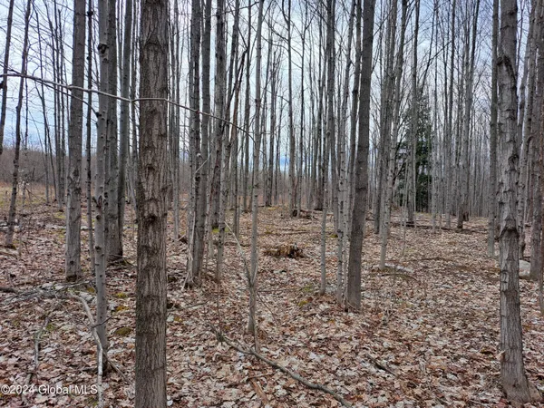 $112,500 | 11.5 Military Turnpike, Ellenburg Depot, NY 12935