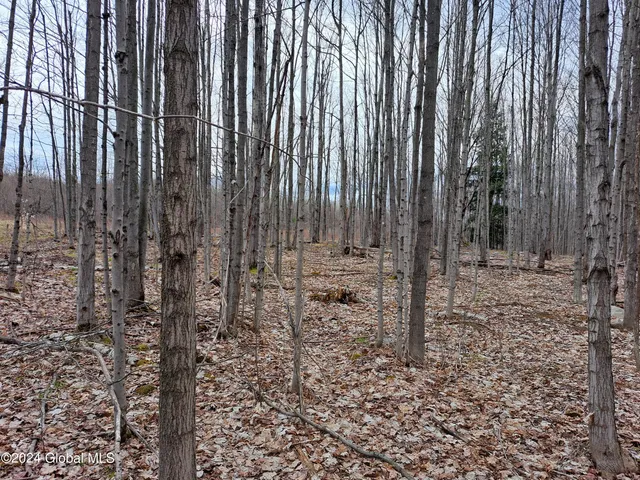 $125,000 | 11.5 Military Turnpike, Ellenburg Depot, NY 12935