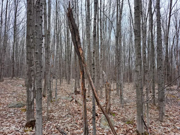$112,500 | 11.5 Military Turnpike, Ellenburg Depot, NY 12935