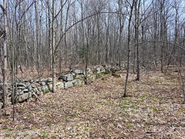 $112,500 | 11.5 Military Turnpike, Ellenburg Depot, NY 12935