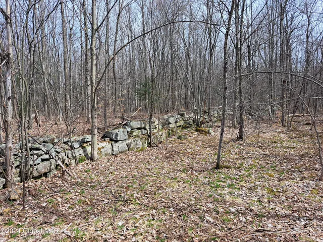 $125,000 | 11.5 Military Turnpike, Ellenburg Depot, NY 12935