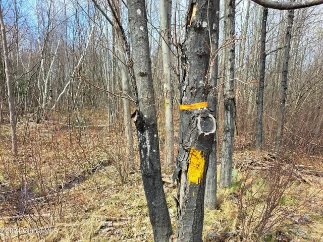 $125,000 | 11.5 Military Turnpike, Ellenburg Depot, NY 12935