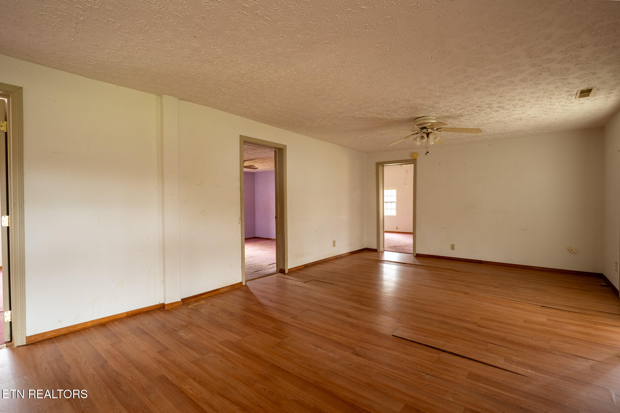 7011 Shell Lane Corryton, TN 37721 - Photo 4 of 22 7011 Shell Ln - Sales Clean-5