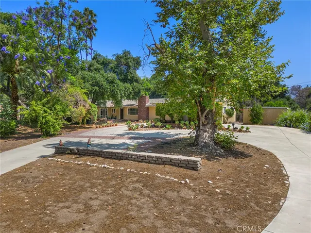 a view of road with large trees