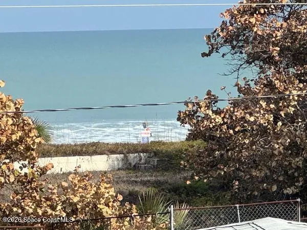 a view of a pathway with a tree