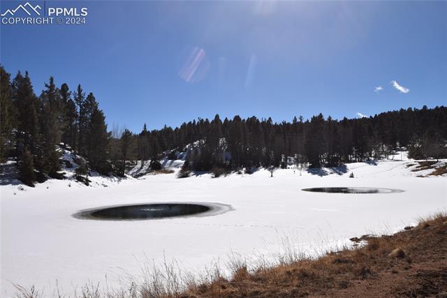 287 Anderson Road Florissant, CO 80816 - Photo 17 of 17 Gallery Image 17