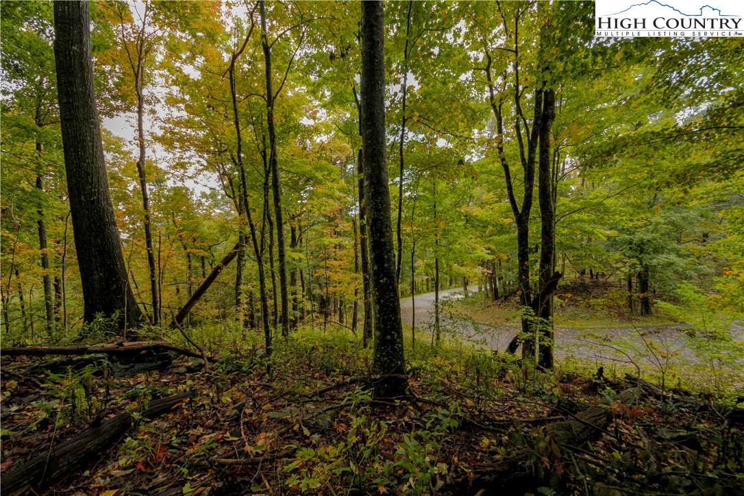 Lot 61 Fire Pink Road Boone, NC 28607 - Photo 3 of 11 Gallery Image 3