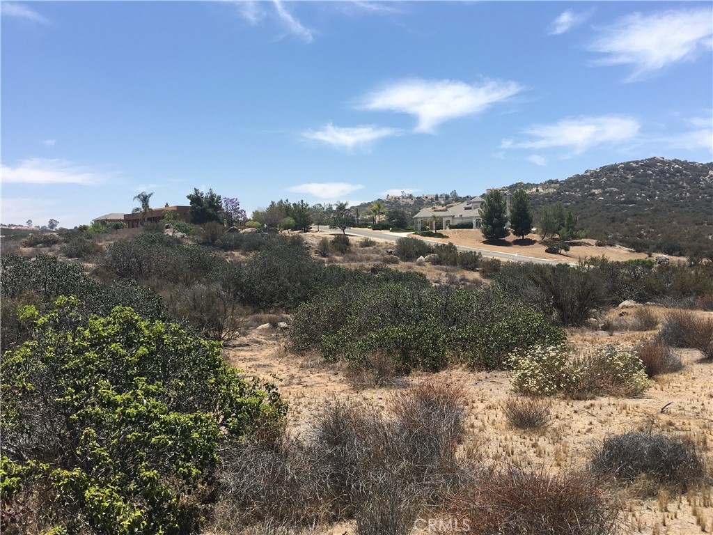 23016 Sky Mesa Road Homeland, CA 92548 - Photo 10 of 16