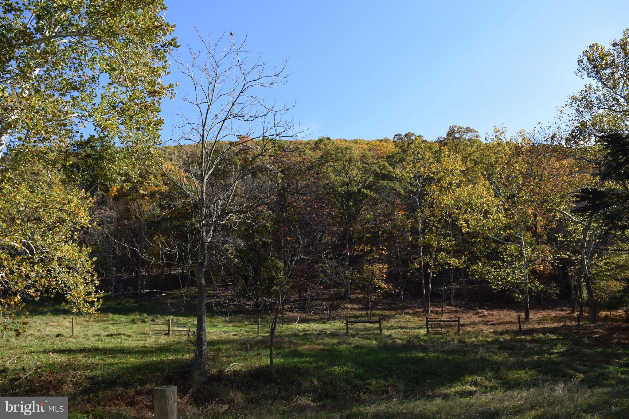 13527 Blairs Valley Road Clear Spring, MD 21722 - Photo 11 of 12 Exterior (Rear)
