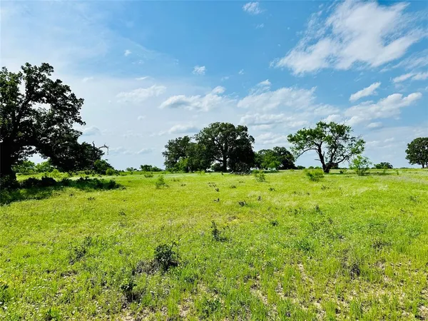 a view of yard with an trees