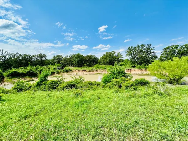 a view of a large yard with lots of green space