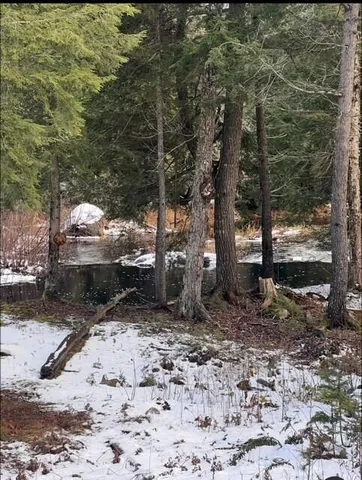 $115,000 | Tbd Woodville Road, Lincoln, ME 04457