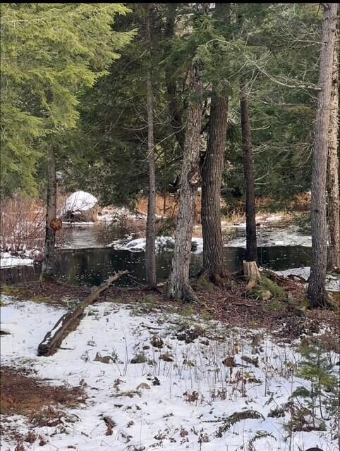 Tbd Woodville Road Lincoln, ME 04457 - Photo 11 of 12 thumbnail_IMG_4607