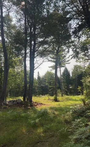 $115,000 | Tbd Woodville Road, Lincoln, ME 04457