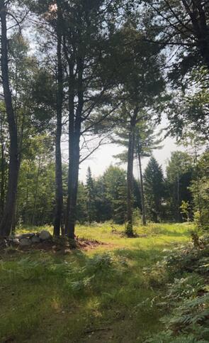 Tbd Woodville Road Lincoln, ME 04457 - Photo 9 of 12 thumbnail_IMG_4352