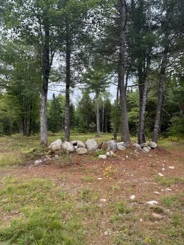 $115,000 | Tbd Woodville Road, Lincoln, ME 04457