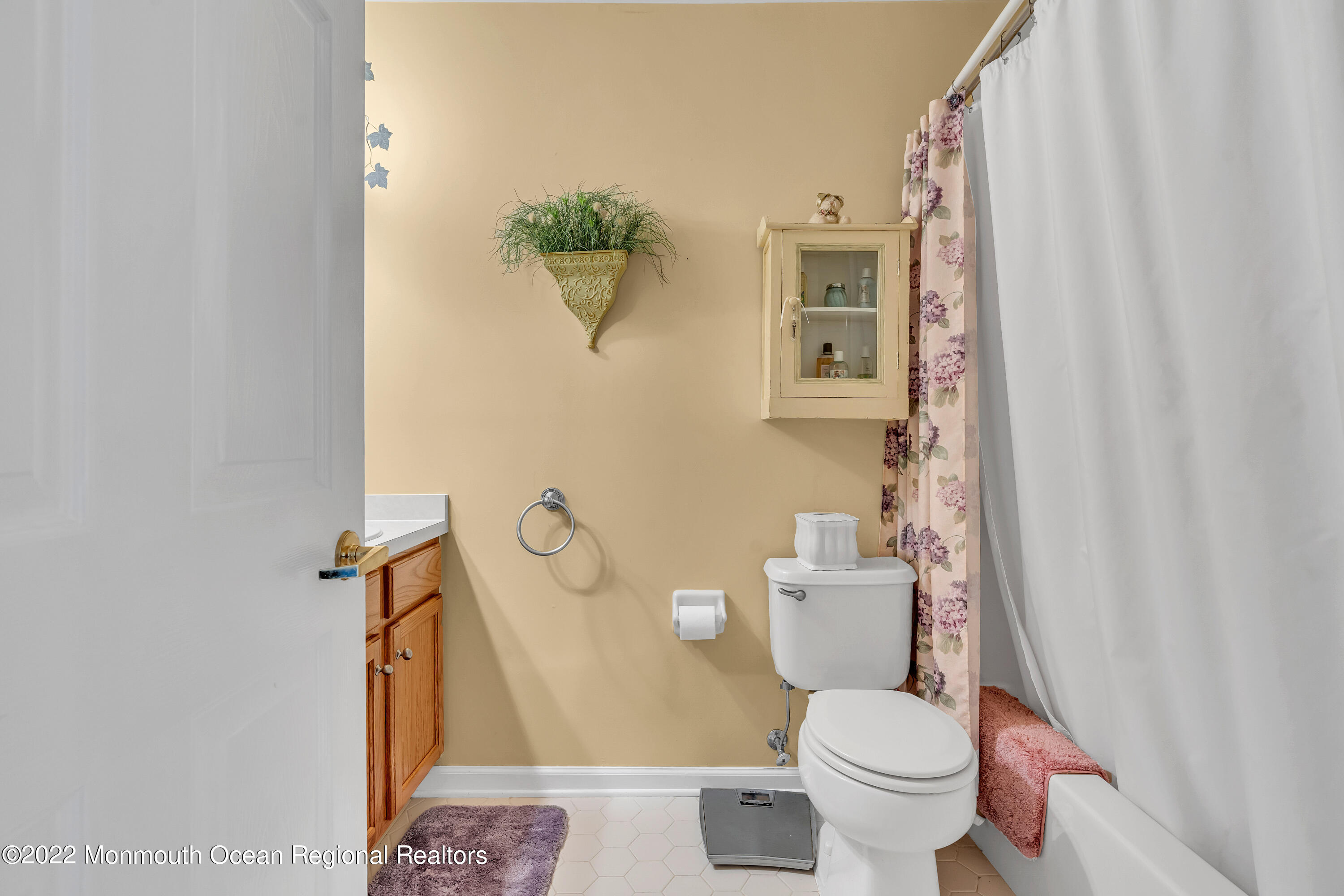 18 Rye Court Jackson, NJ 08527 - Photo 28 of 44 DSC03937