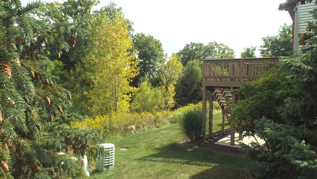 a view of a park with trees