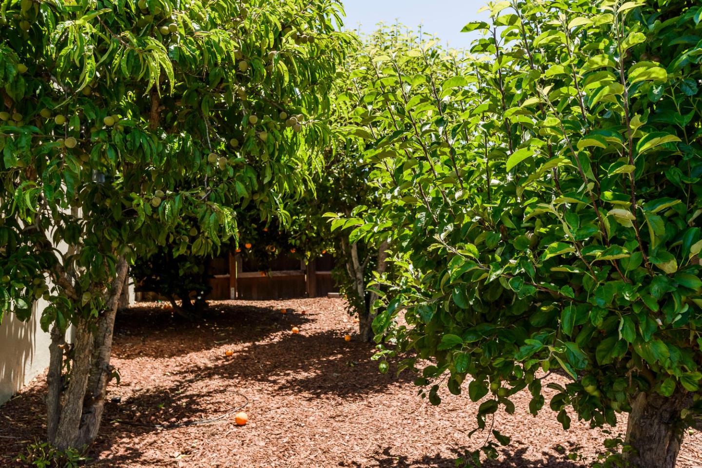 1344 Parrott Drive San Mateo, CA 94402 - Photo 20 of 20