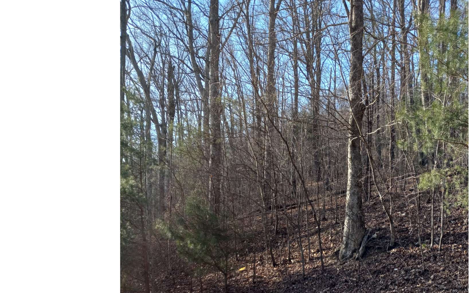 Lot 9 Hardslate Road Ellijay, GA 30536 - Photo 1 of 6 Main View