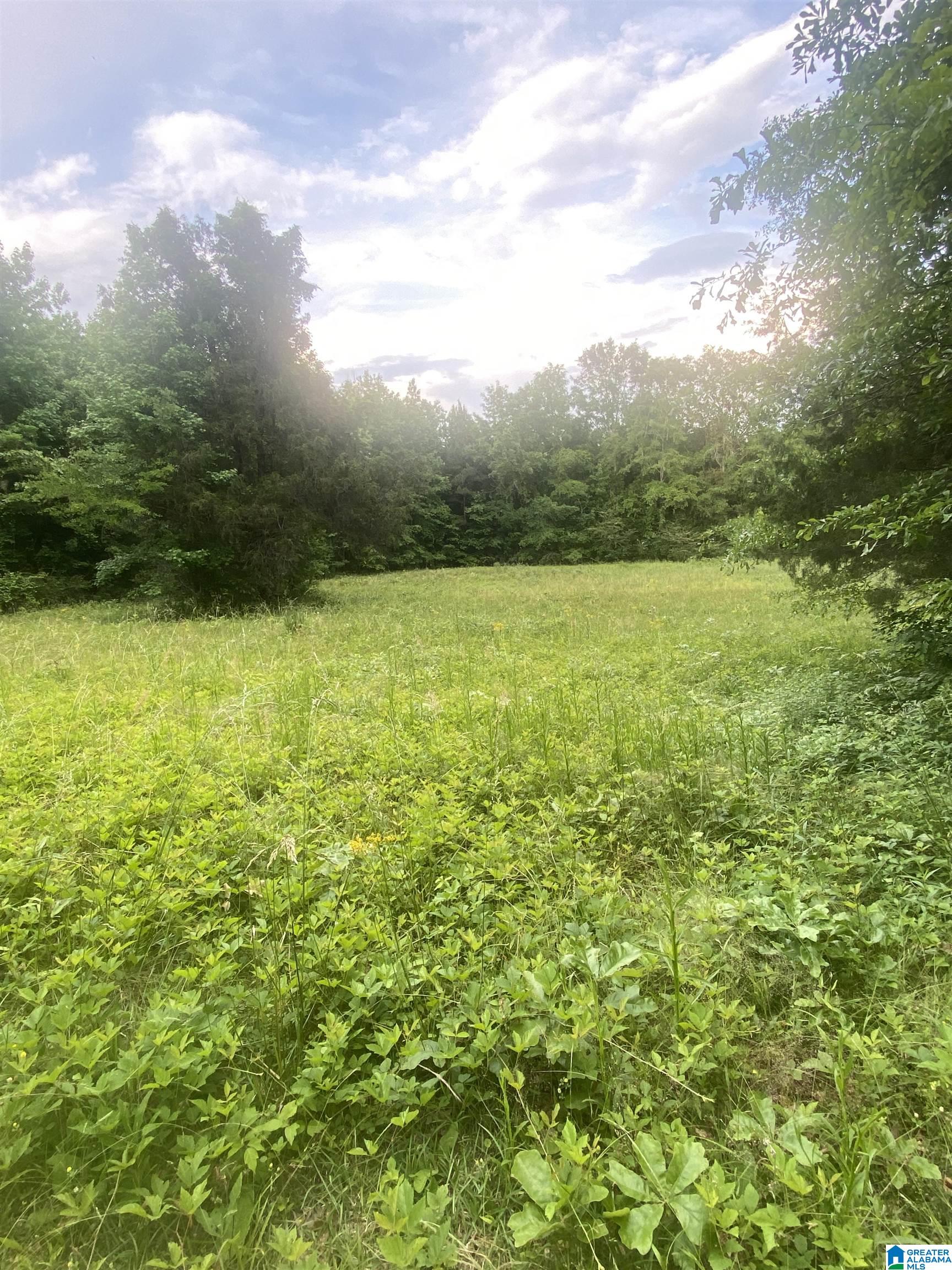 201 Baret Creek Road Selma, AL 36701 - Photo 6 of 7