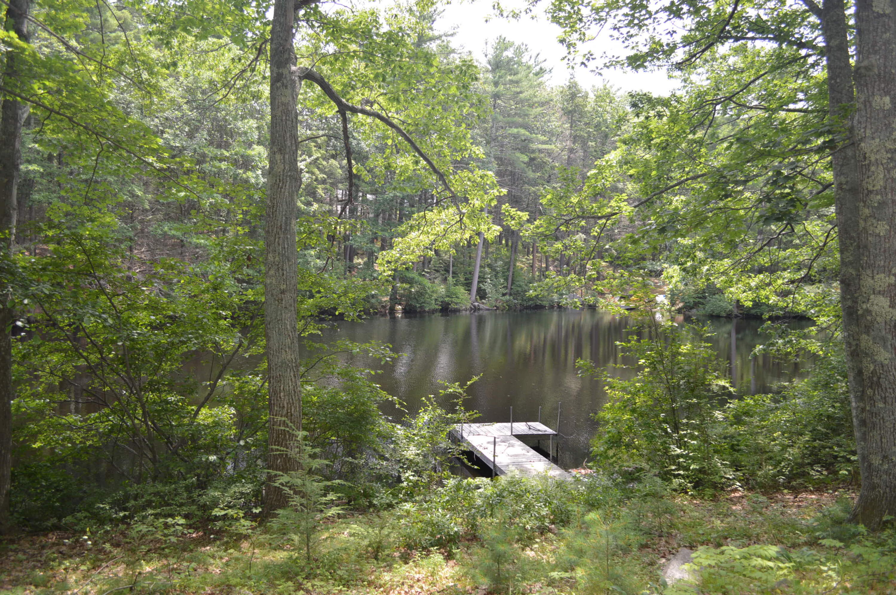 52 Hooper Shores Road York, ME 03909 - Photo 4 of 36 DSC_0028