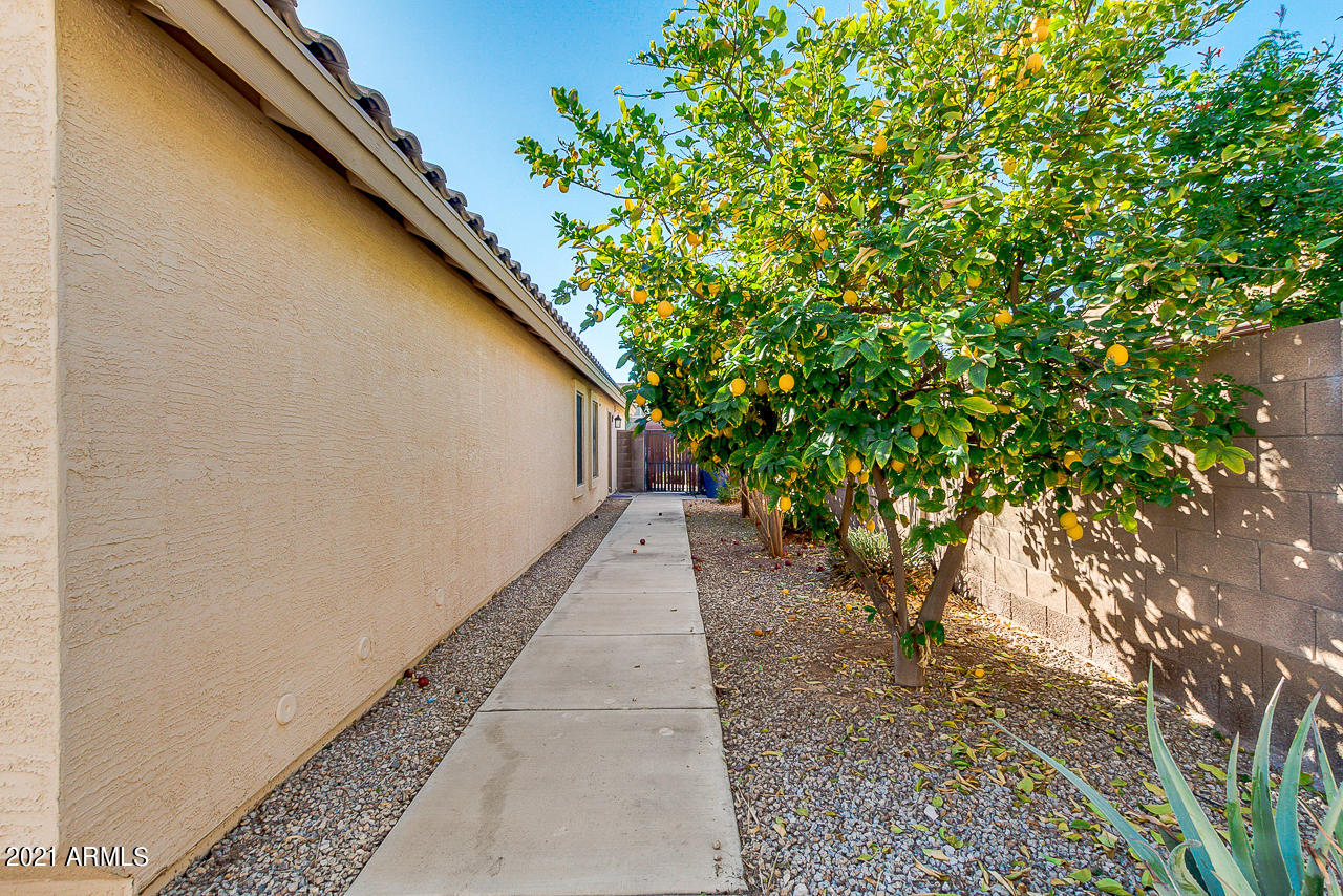 3940 East Bautista Road Gilbert, AZ 85297 - Photo 41 of 41 41-Bautista
