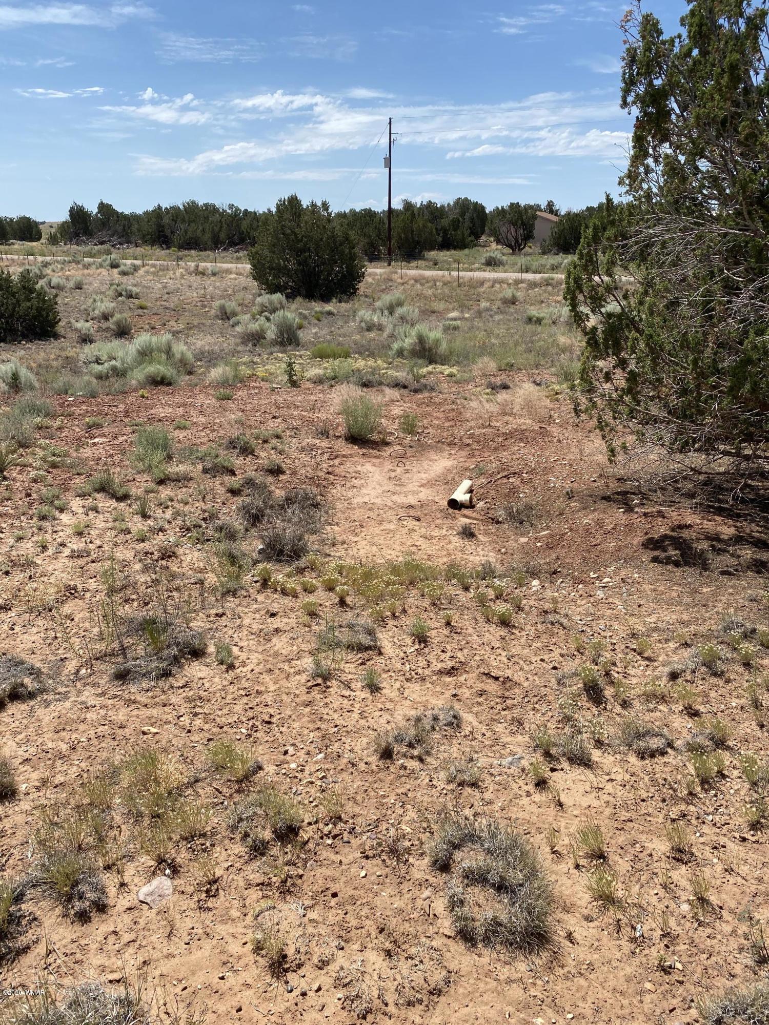 3958 Freeman Hollow Snowflake, AZ 85937 - Photo 11 of 18