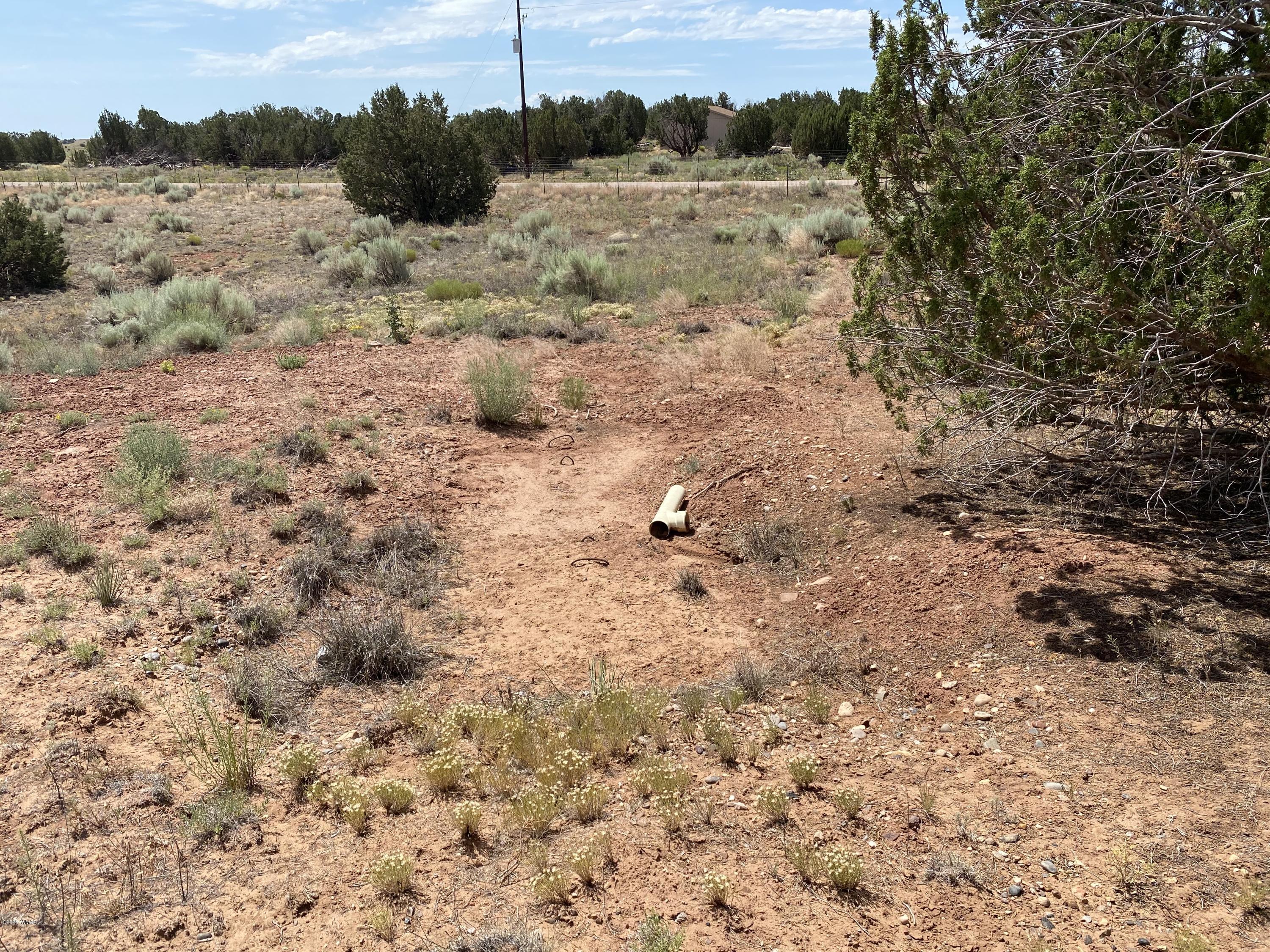 3958 Freeman Hollow Snowflake, AZ 85937 - Photo 12 of 18