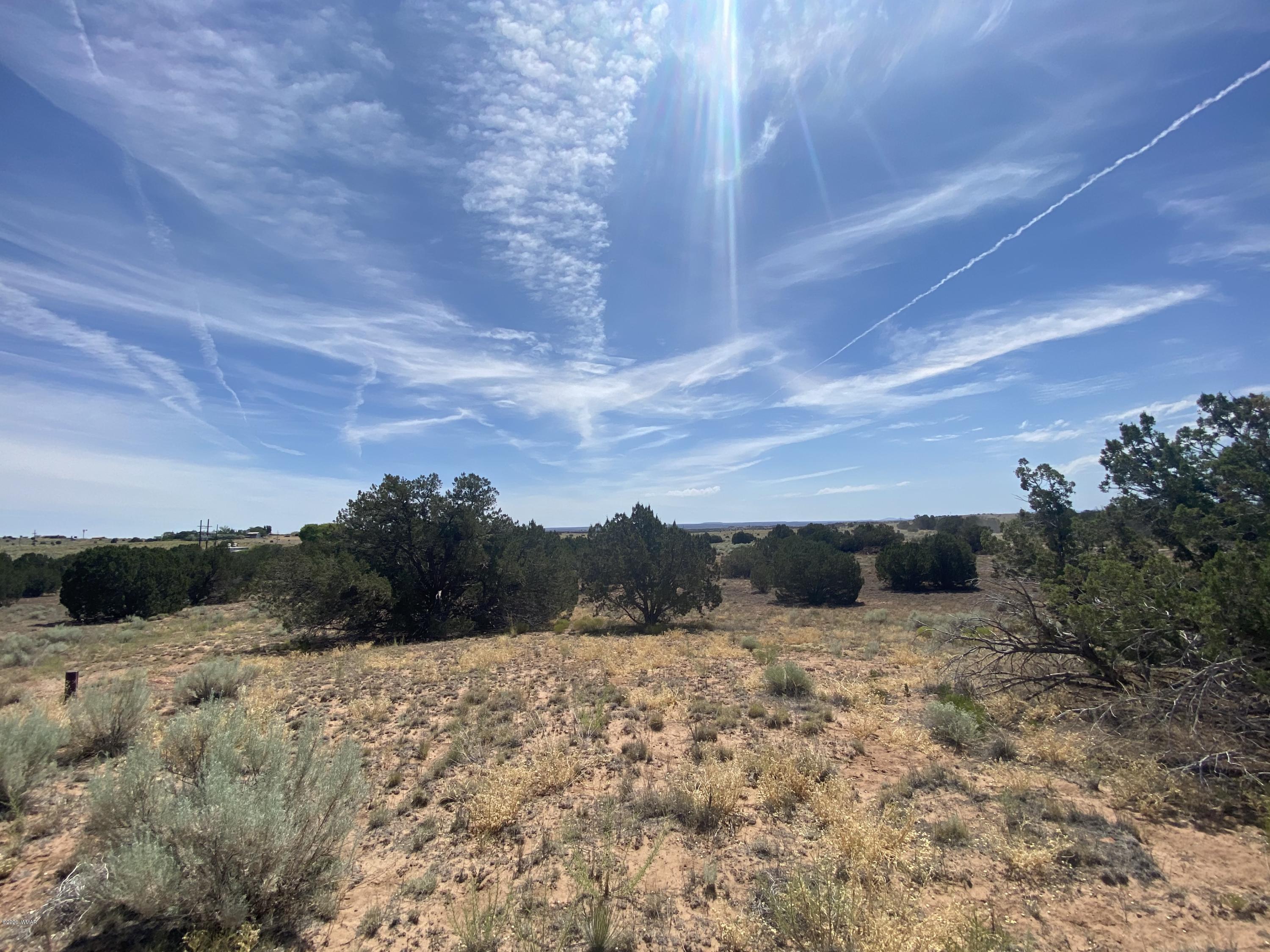 3958 Freeman Hollow Snowflake, AZ 85937 - Photo 13 of 18