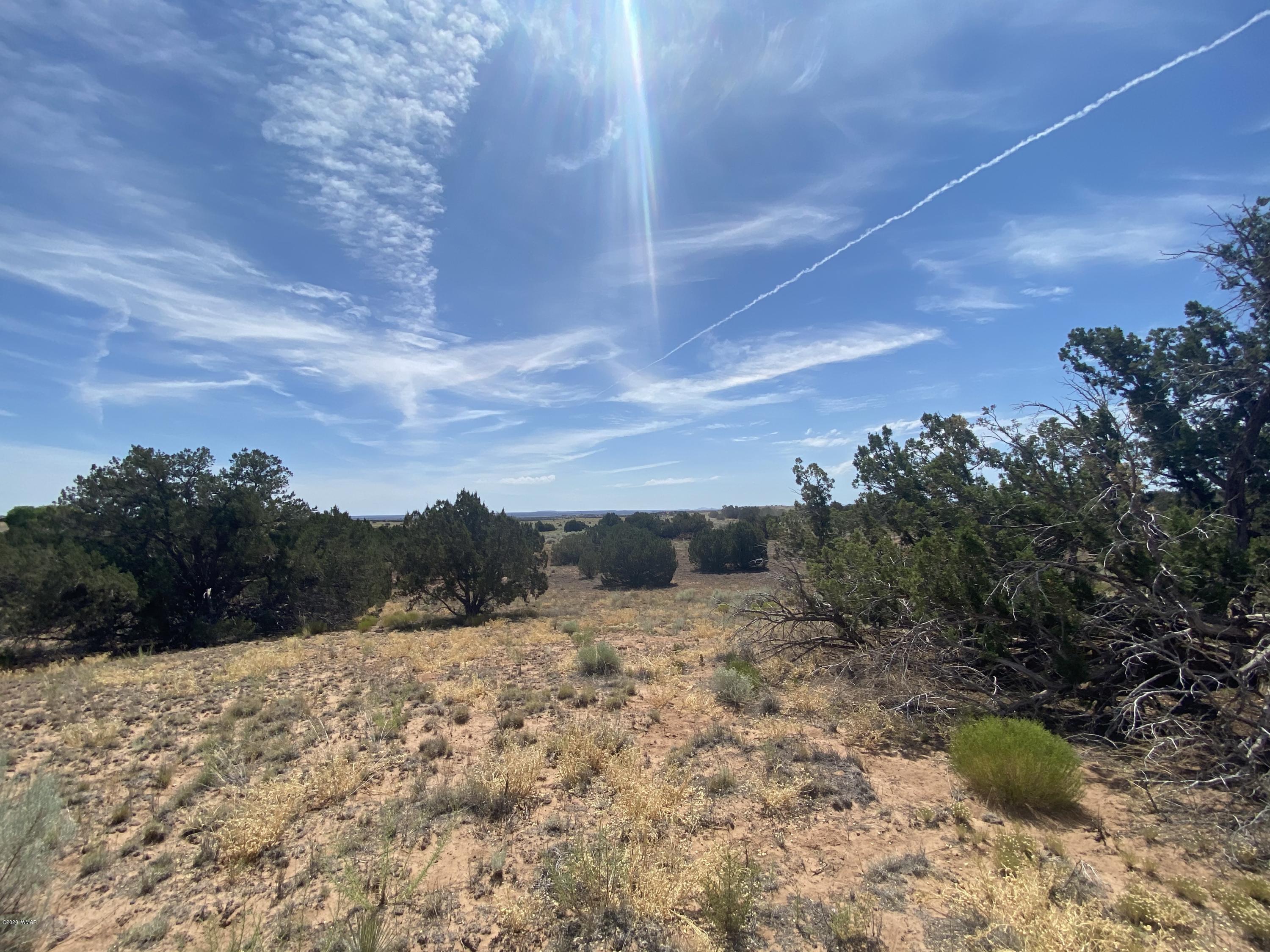 3958 Freeman Hollow Snowflake, AZ 85937 - Photo 14 of 18
