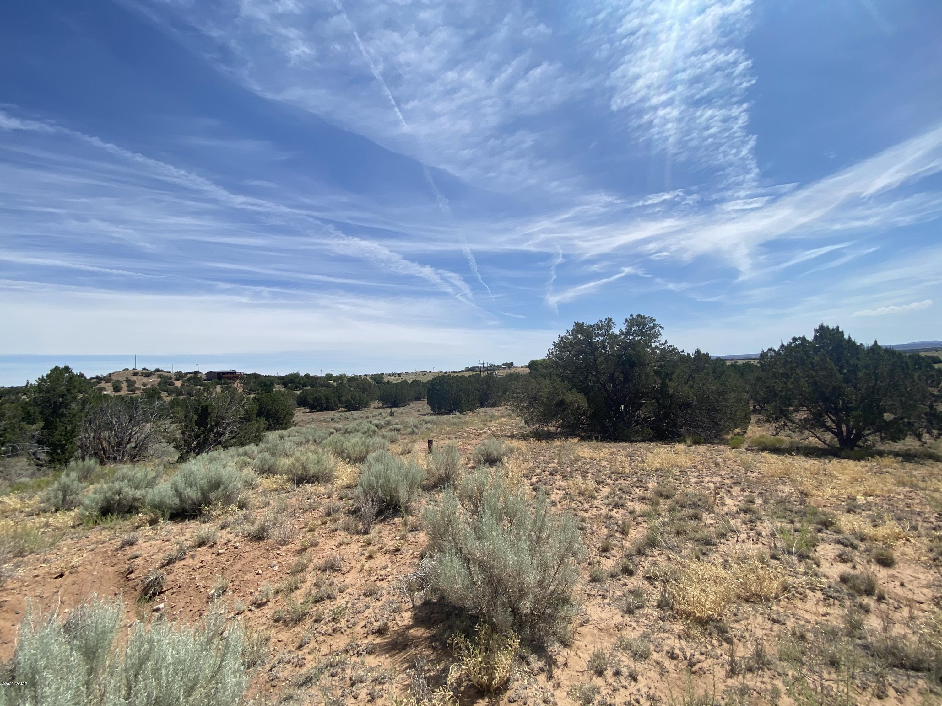3958 Freeman Hollow Snowflake, AZ 85937 - Photo 15 of 18