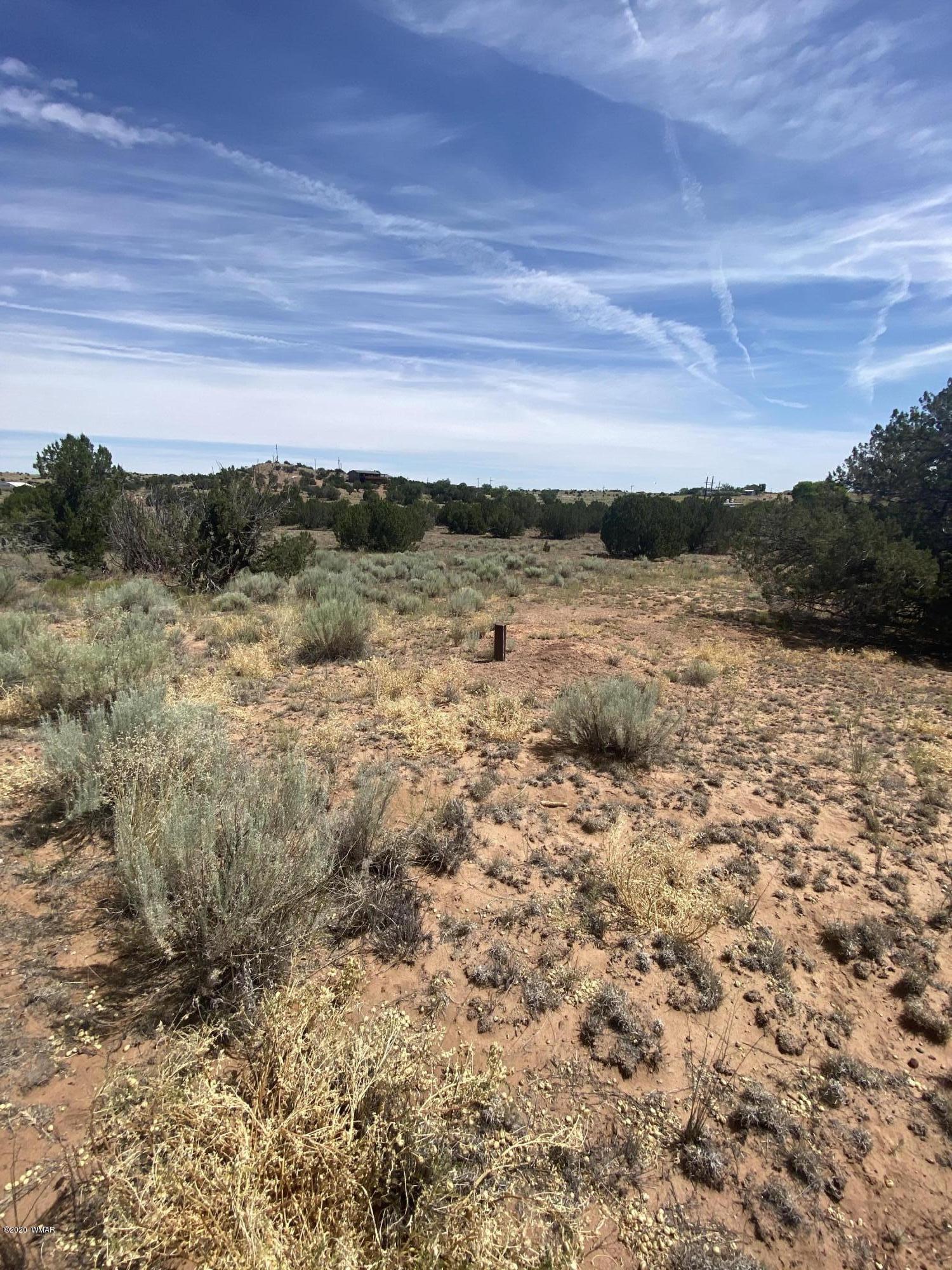 3958 Freeman Hollow Snowflake, AZ 85937 - Photo 16 of 18
