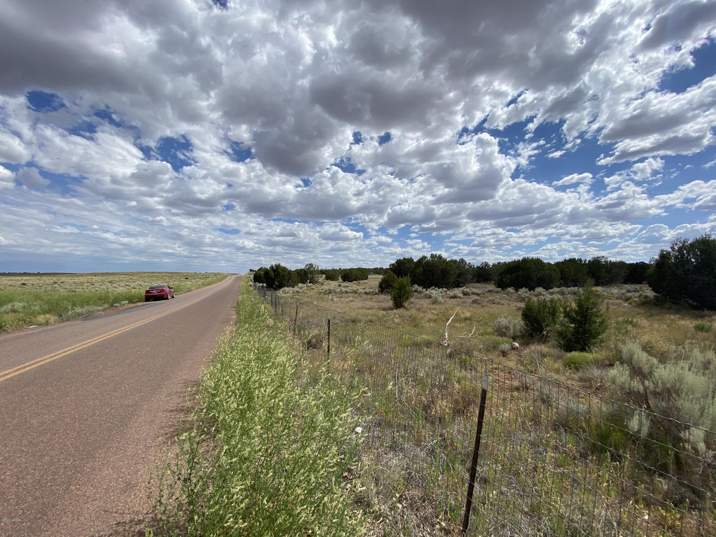 3958 Freeman Hollow Snowflake, AZ 85937 - Photo 17 of 18