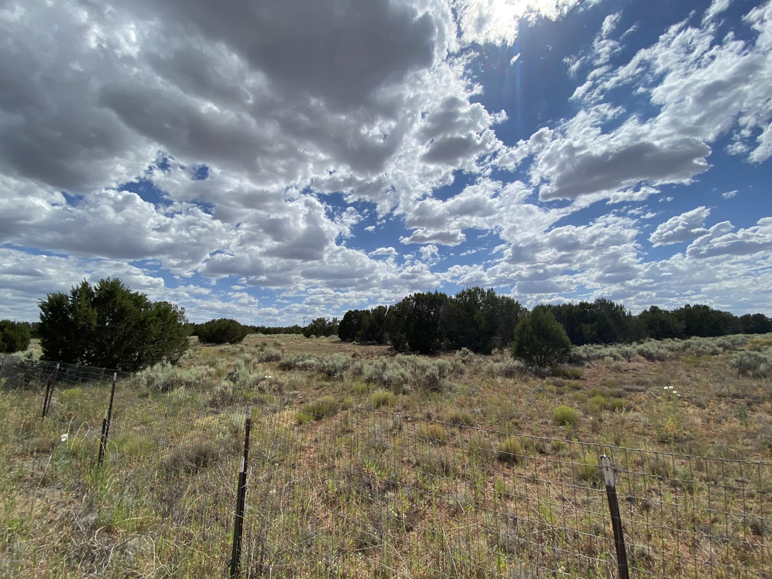 3958 Freeman Hollow Snowflake, AZ 85937 - Photo 3 of 18