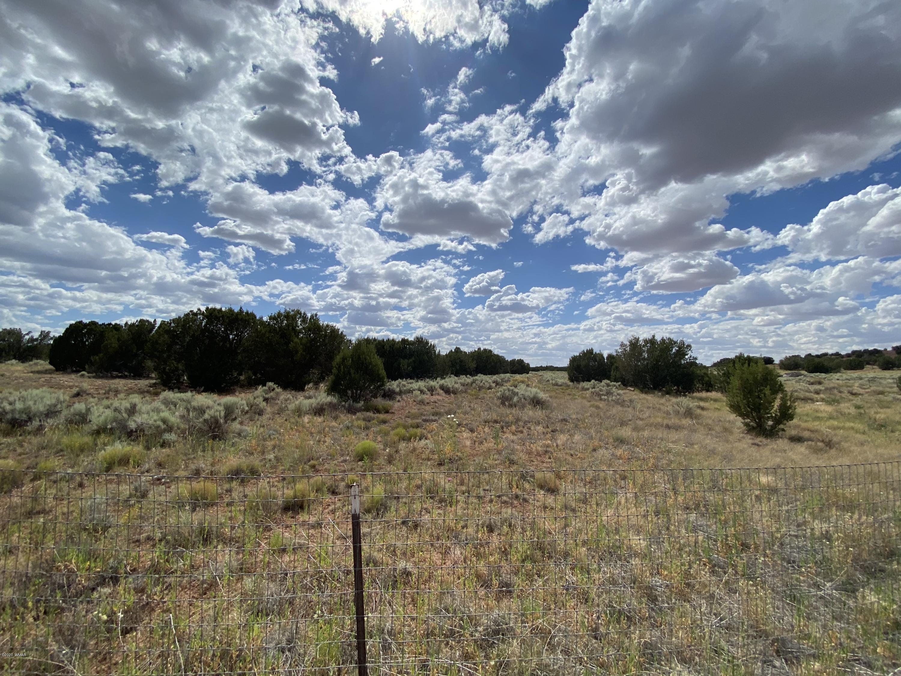 3958 Freeman Hollow Snowflake, AZ 85937 - Photo 4 of 18