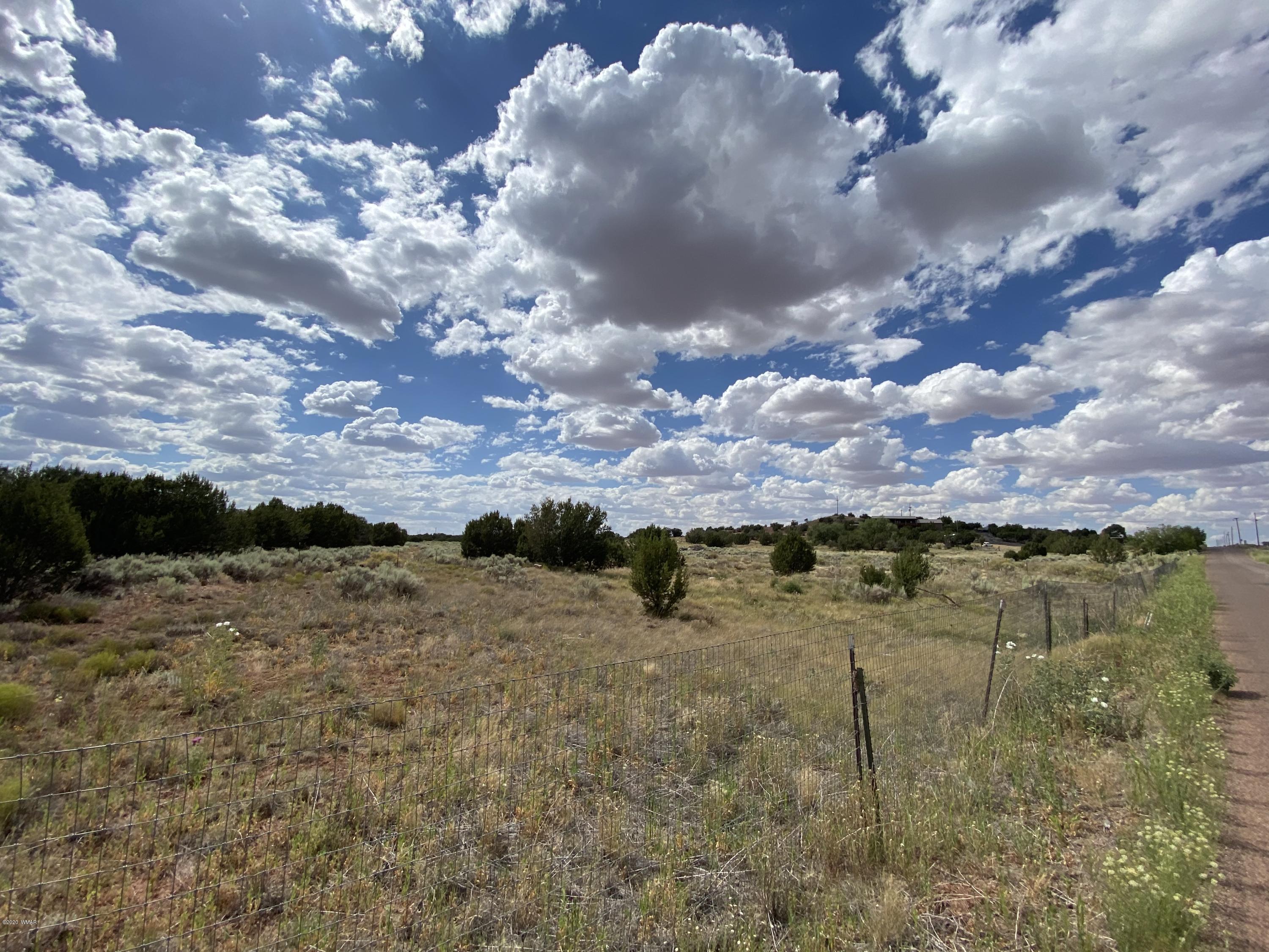 3958 Freeman Hollow Snowflake, AZ 85937 - Photo 5 of 18