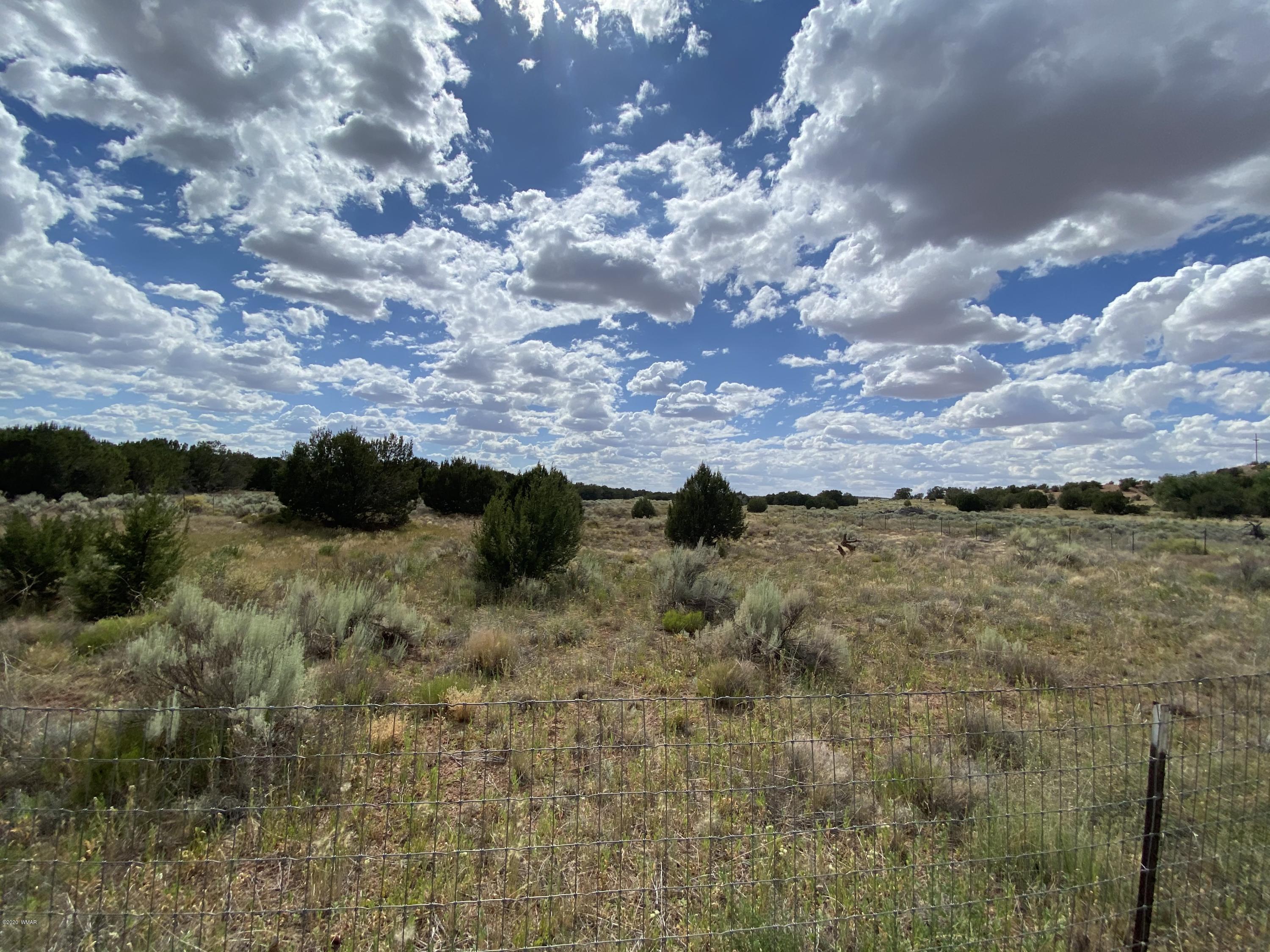 3958 Freeman Hollow Snowflake, AZ 85937 - Photo 7 of 18