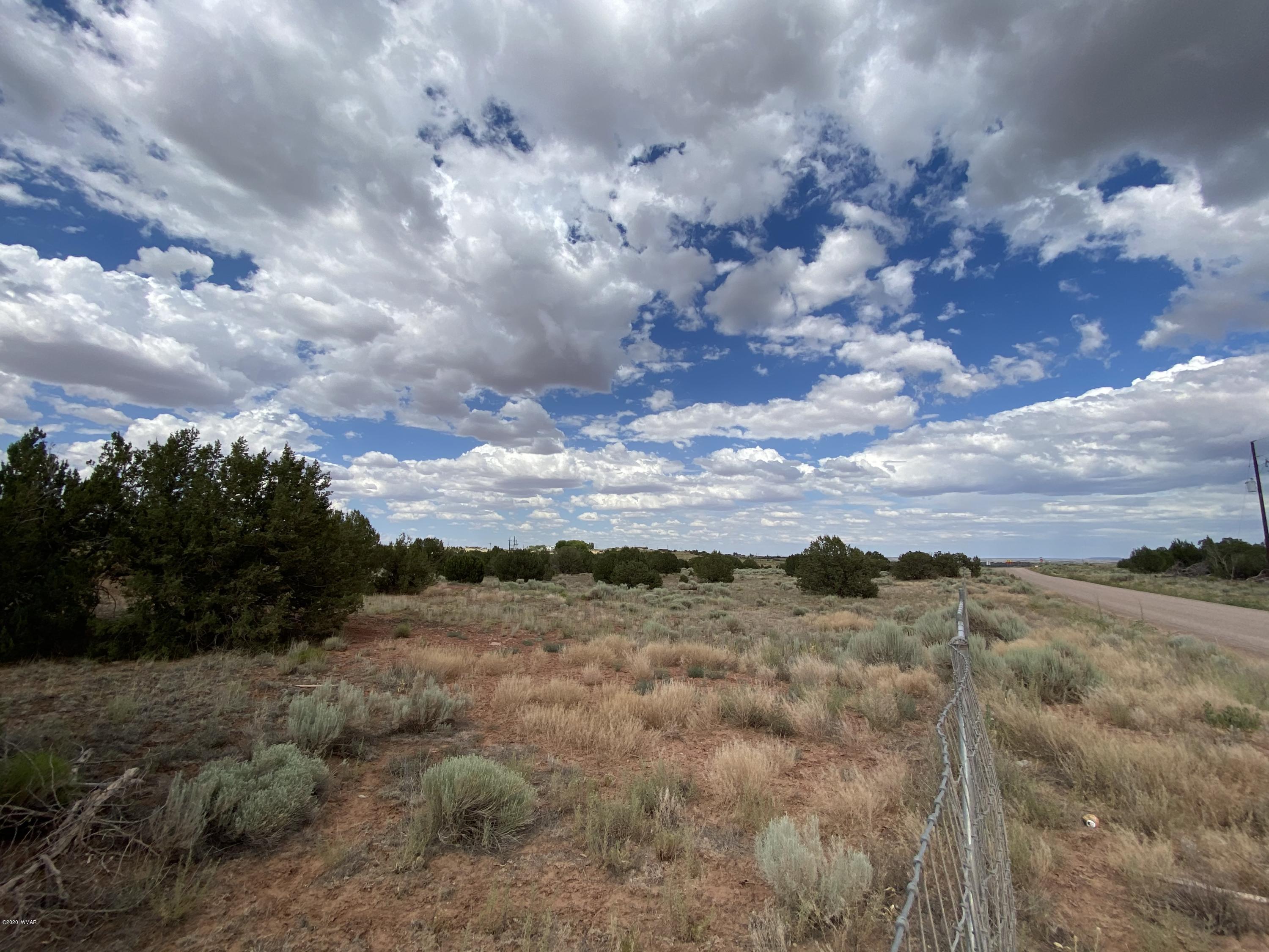 3958 Freeman Hollow Snowflake, AZ 85937 - Photo 8 of 18