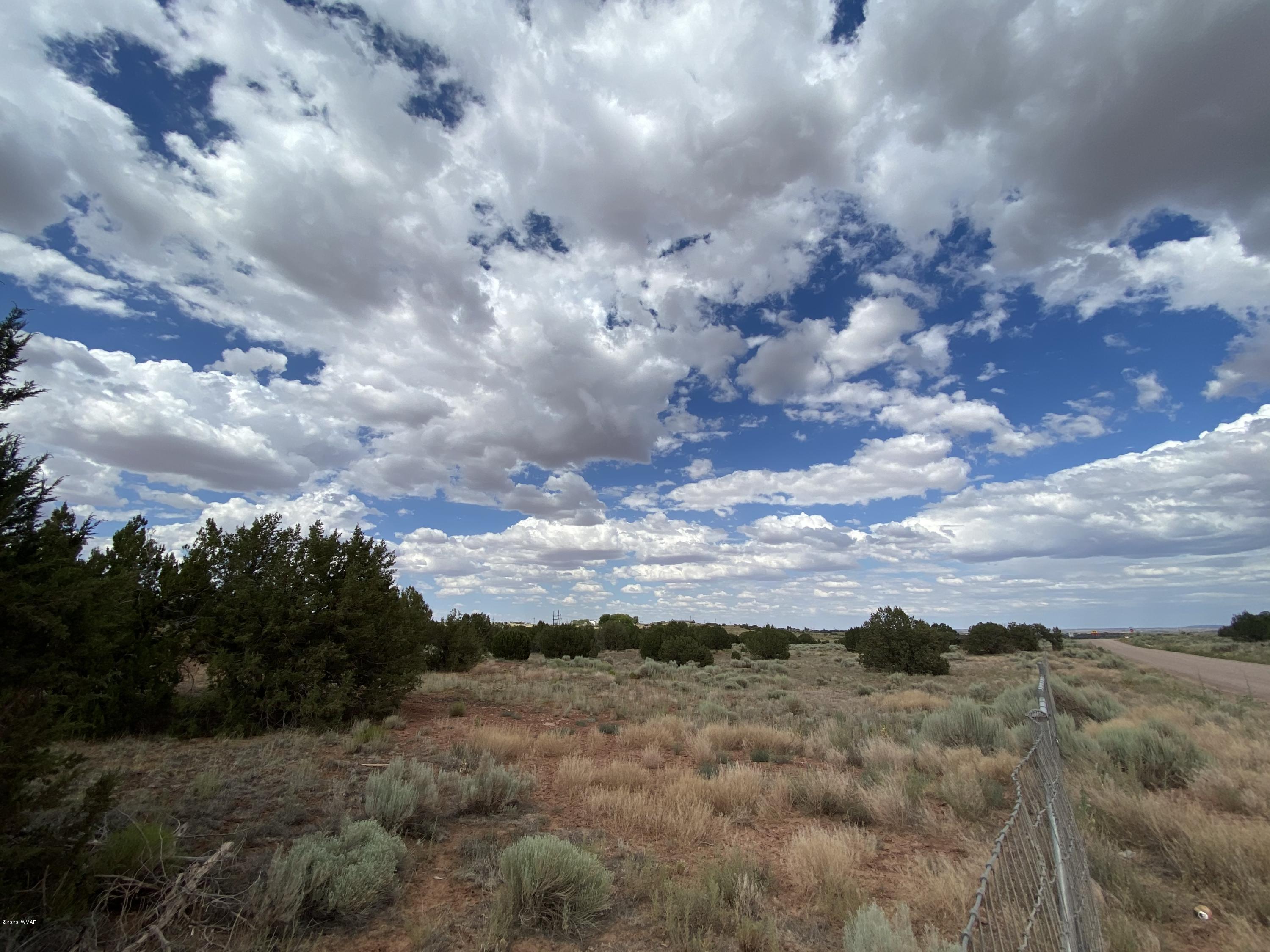 3958 Freeman Hollow Snowflake, AZ 85937 - Photo 9 of 18