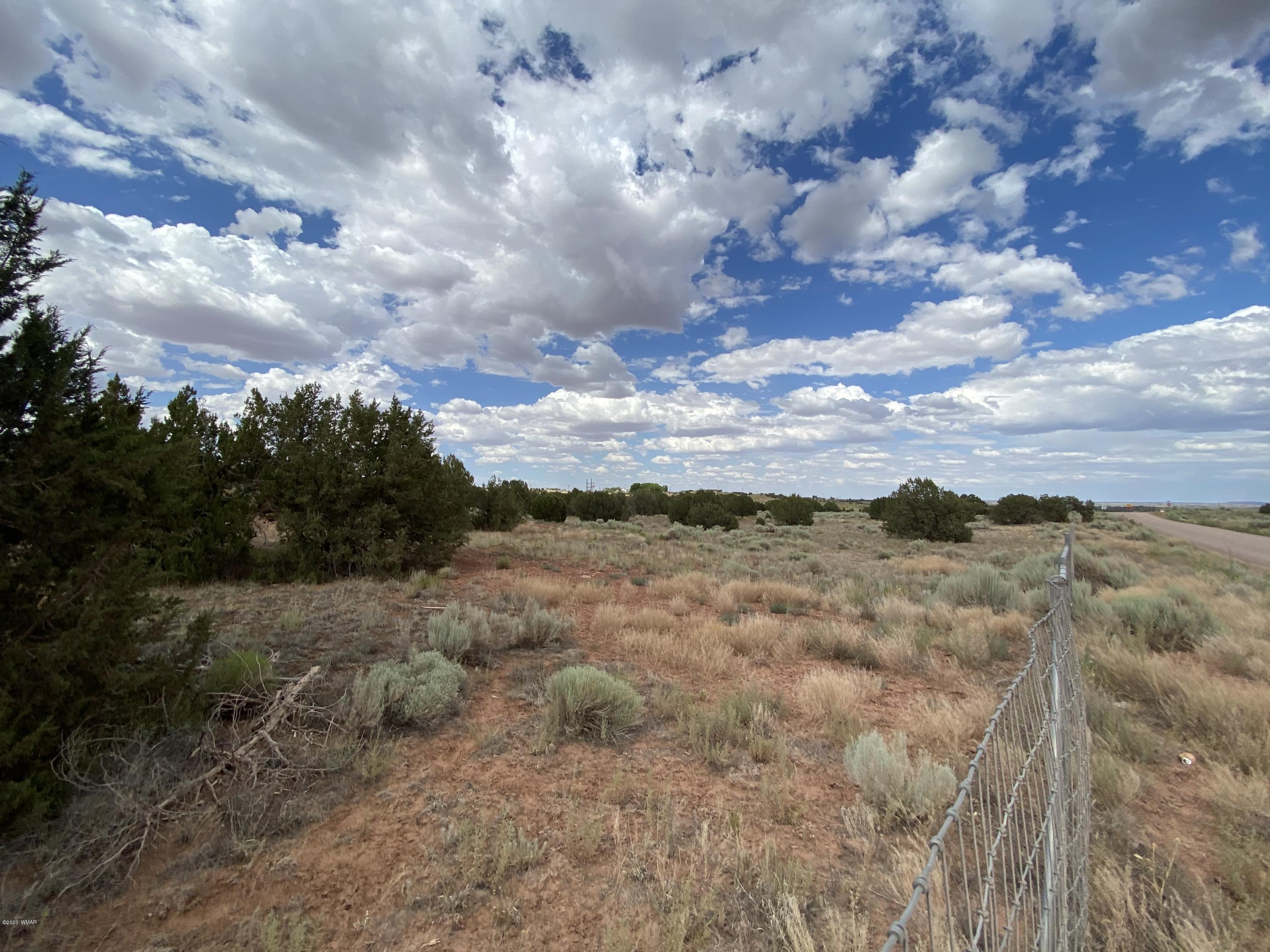 3958 Freeman Hollow Snowflake, AZ 85937 - Photo 10 of 18