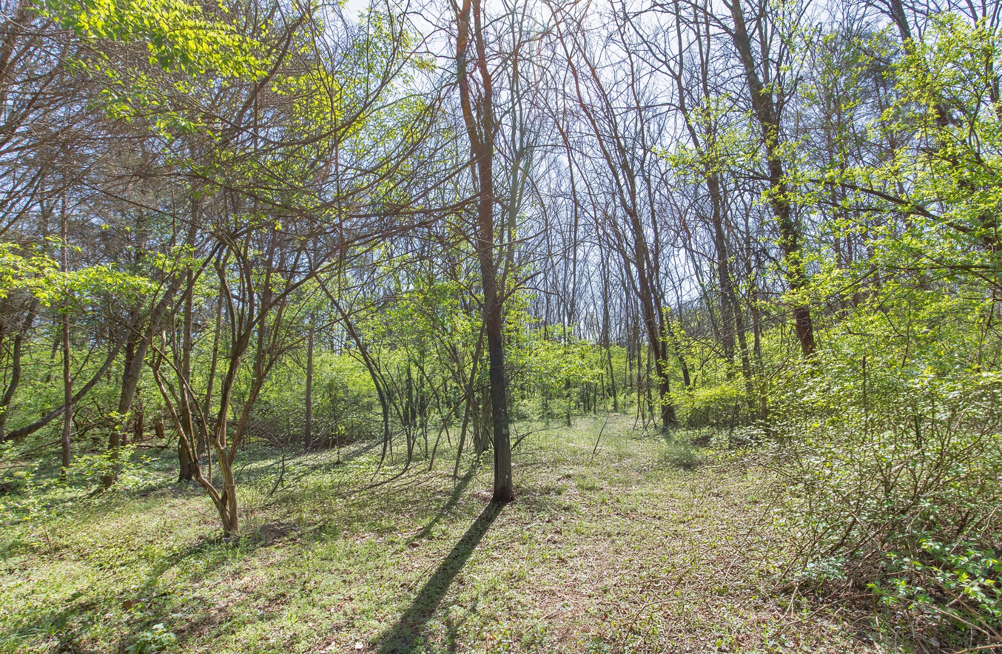 227 Spero Road Goodlettsville, TN 37072 - Photo 36 of 52 Gallery Image 36