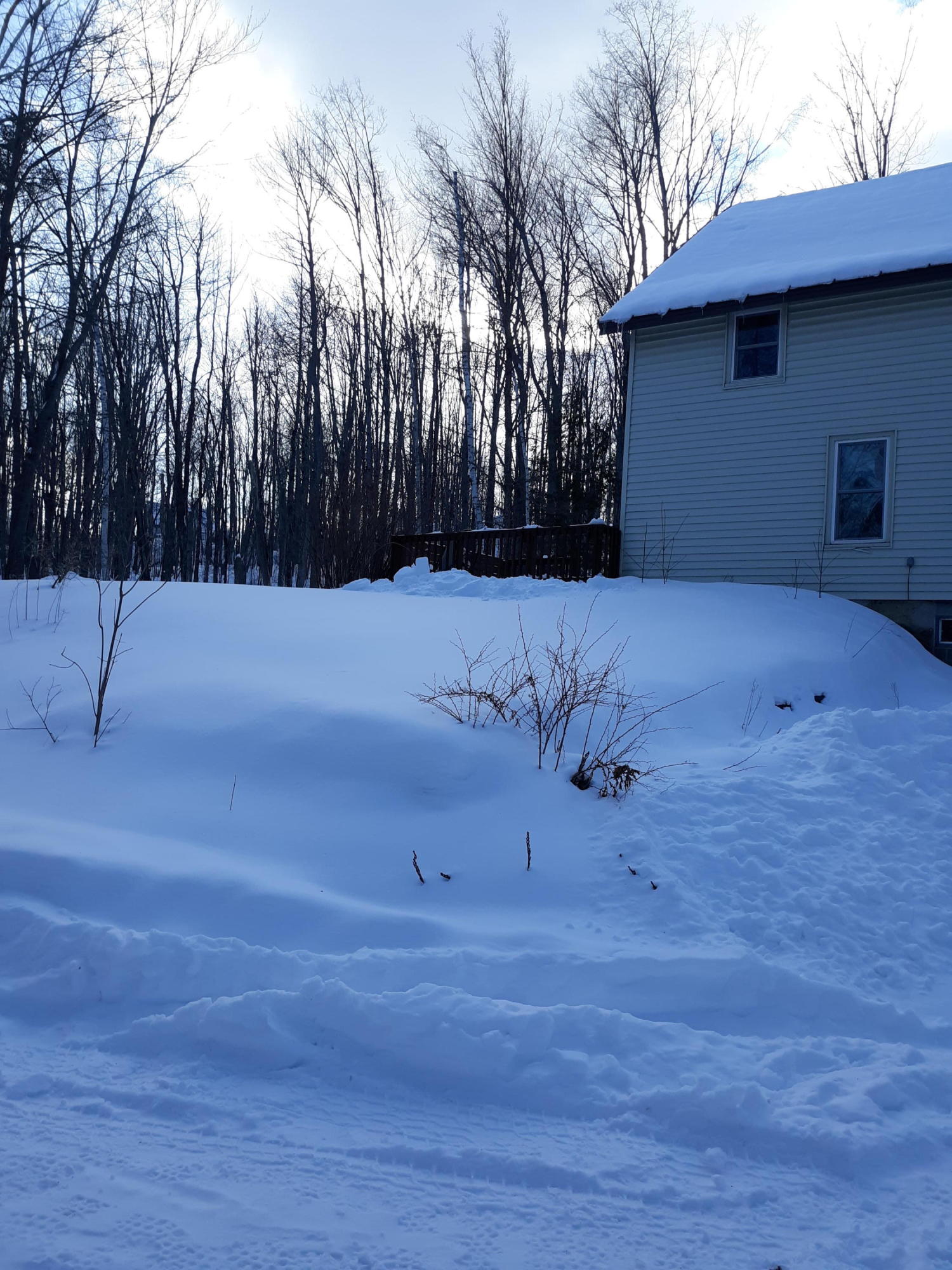 21 Maxwell Road Wilton, ME 04294 - Photo 3 of 11 2