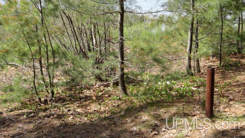 N3189 Buckhorn Road Wetmore, MI 49895 - Photo 24 of 26