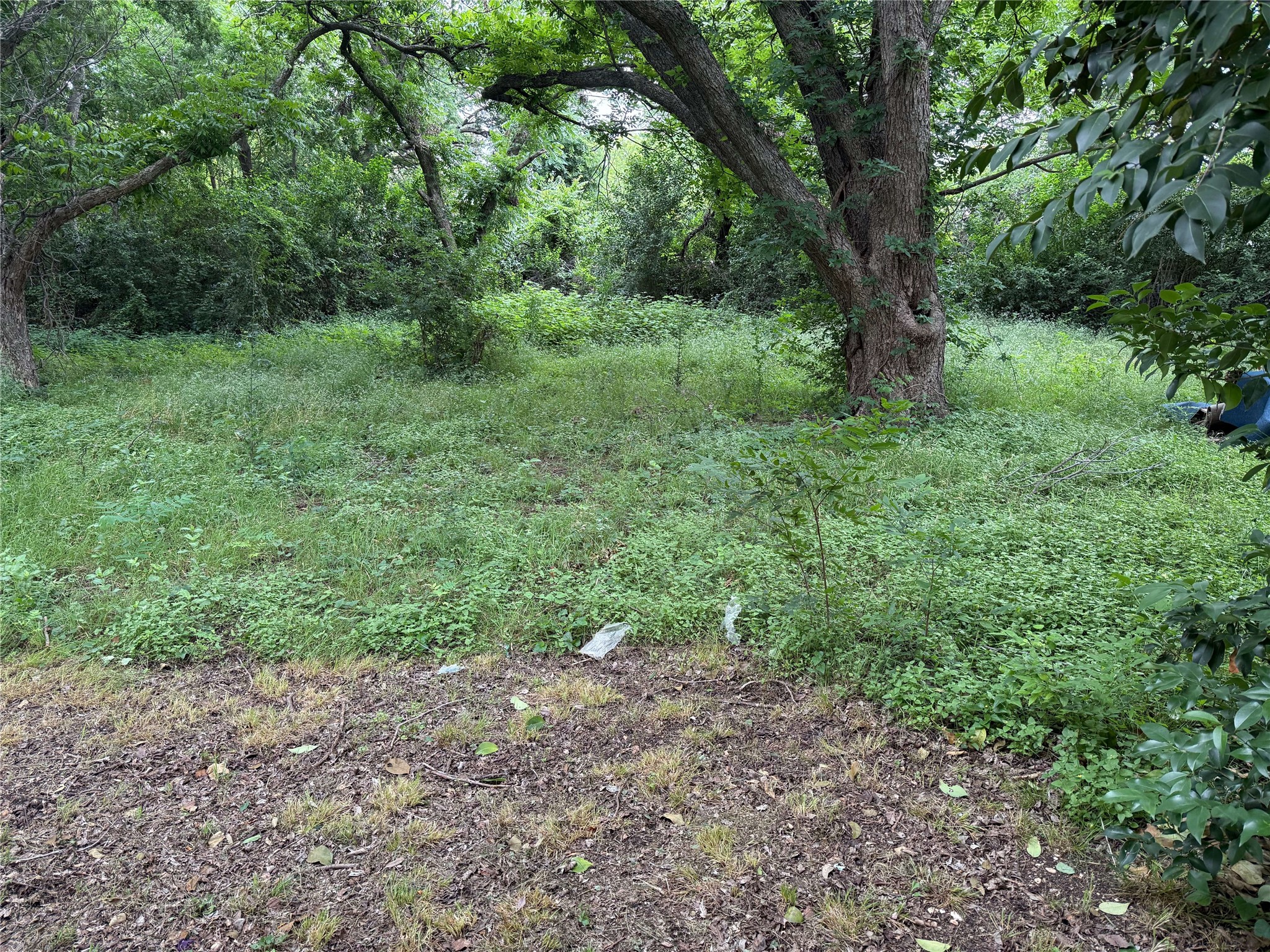 2922 MacArthur Drive Waco, TX 76708 - Photo 8 of 19 Expansive yard area with redevelopment potential.
