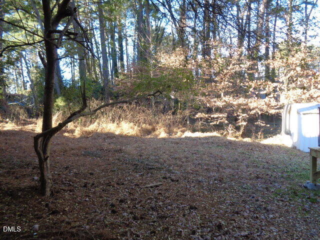 4126 Deep Hollow Drive Raleigh, NC 27612 - Photo 20 of 20 Back Yard -4126 Duplex